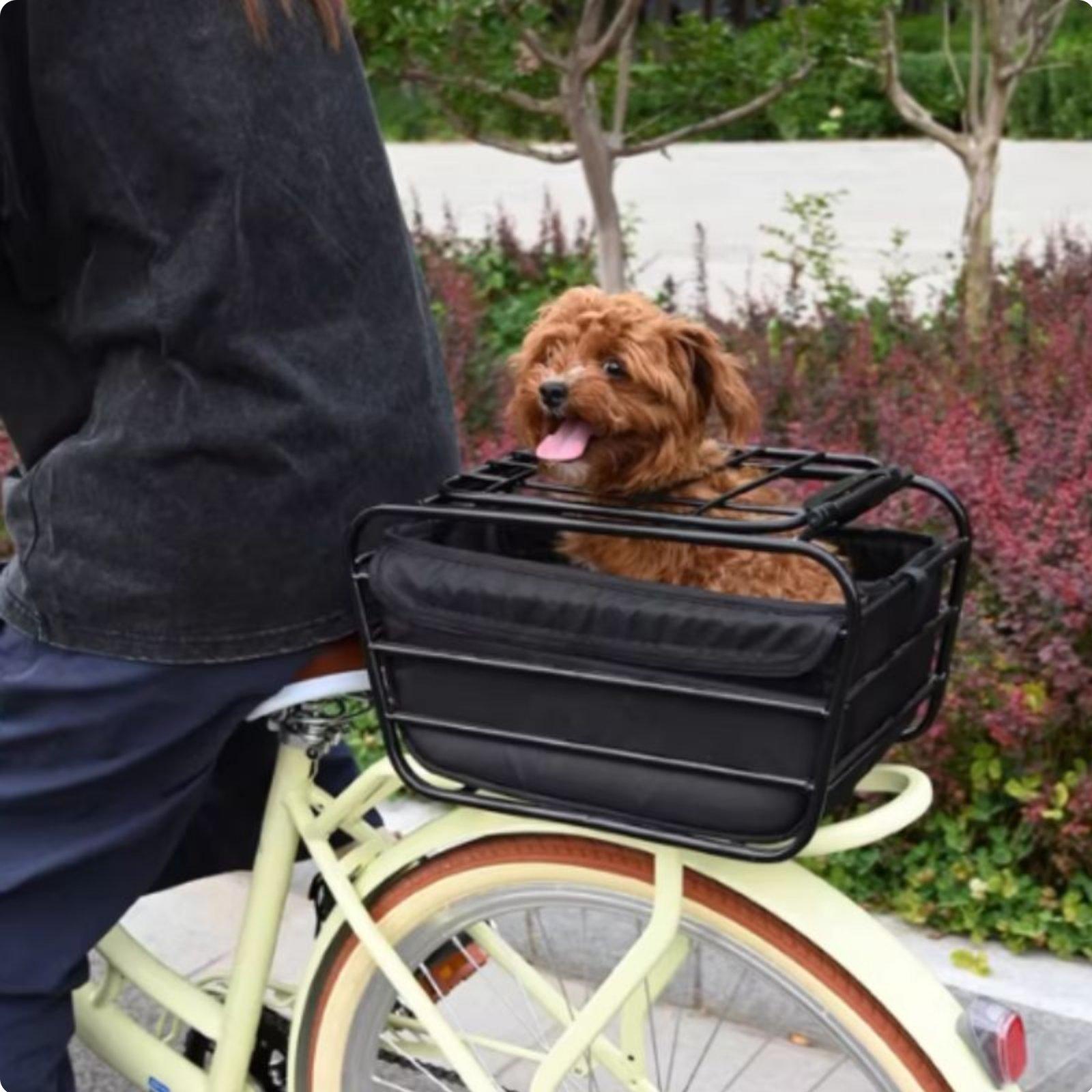 犬用ストラップ付き自転車バスケット マウンテンバイクリアシー - Mountain Biking With Dog のレビューと価格