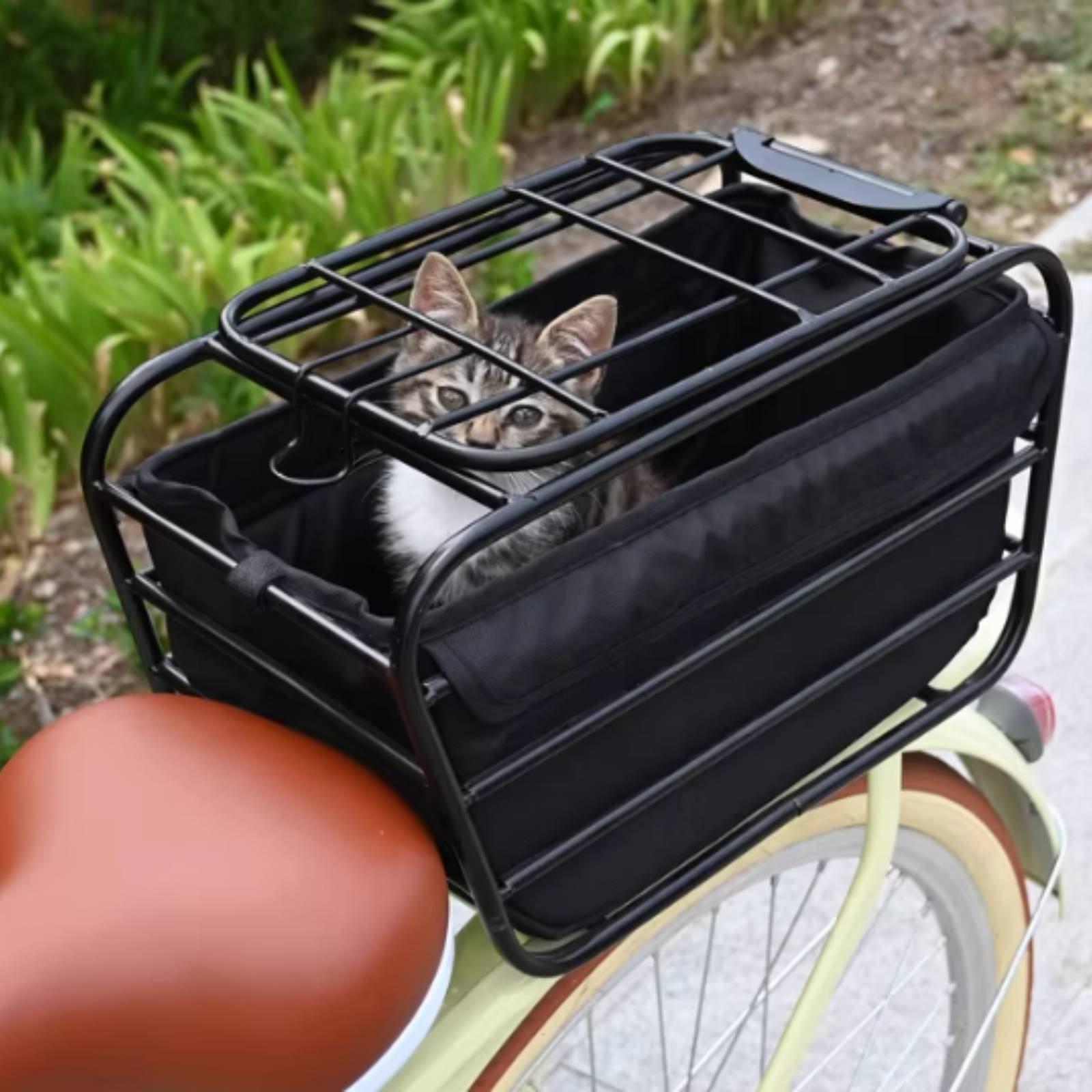 犬用ストラップ付き自転車バスケット マウンテンバイクリアシー - Mountain Biking With Dog のレビューと価格