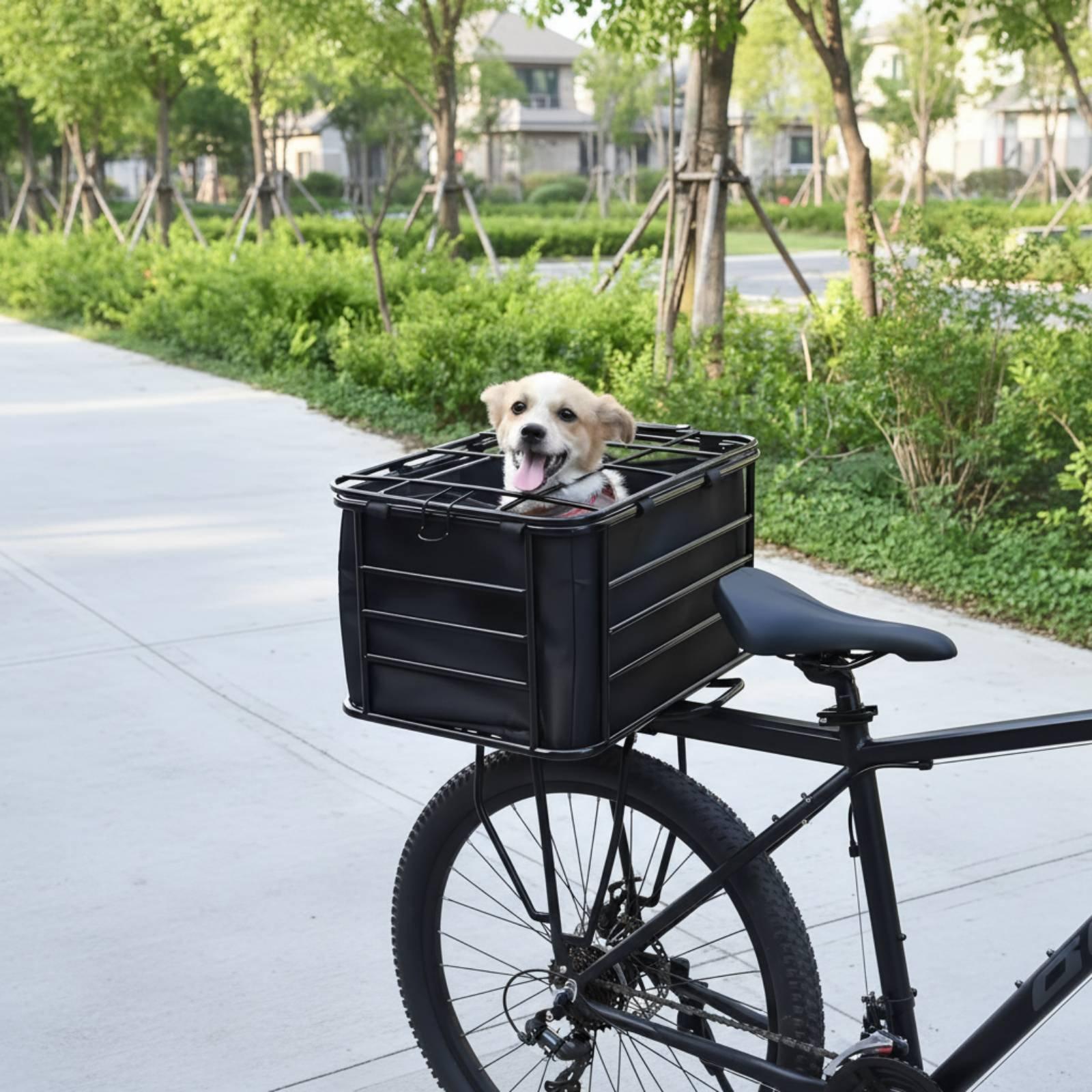 犬用ストラップ付き自転車バスケット マウンテンバイクリアシー - Mountain Biking With Dog のレビューと価格