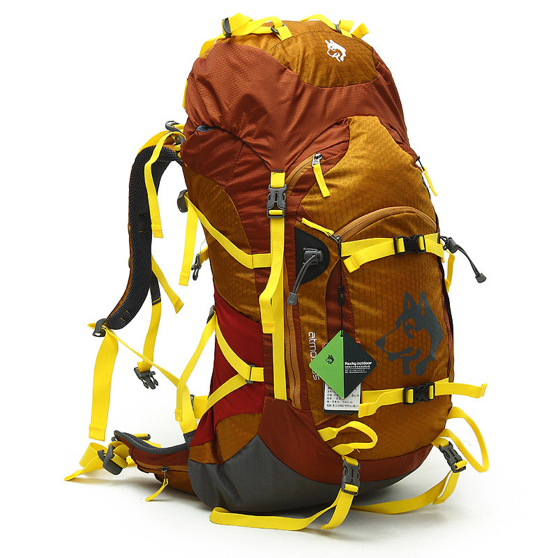 ジャングルキング-男性と女性のための防水スポーツバックパック - Mountain Biking Backpack のレビューと価格