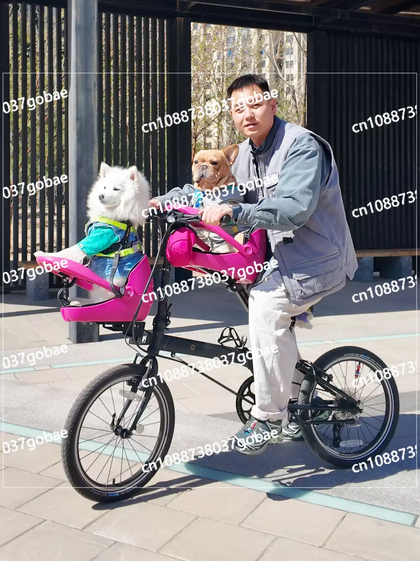 折りたたみ自転車、マウンテンバイク、猫用バスケット、ロードバ - Mountain Biking With Dog のレビューと価格