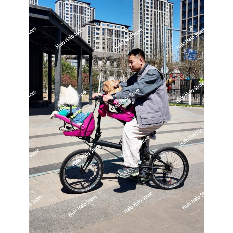 小型の布製折りたたみ自転車、マウンテンバイク、キャットバイク - Mountain Biking With Dog のレビューと価格